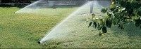 Pop Ups, Irrigation in Ipswich, Suffolk