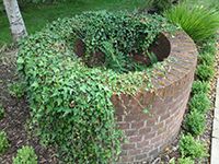 Ivy-Covered Well, Water Engineers, Water Filtration in Ipswich, Suffolk